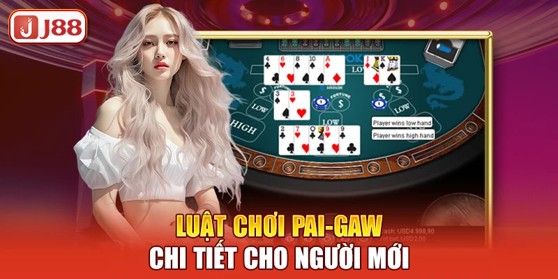 luat-choi-pai-gaw-chi-tiet-cho-nguoi-moi