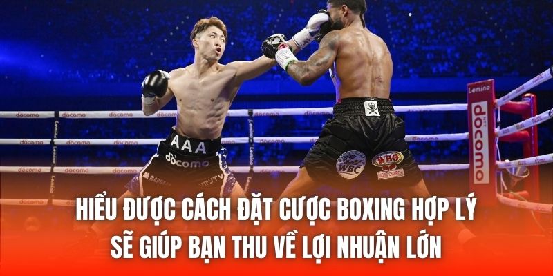 Hiểu được cách đặt cược boxing hợp lý sẽ giúp bạn thu về lợi nhuận lớn